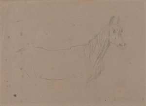 A Mare, Possibly a Study for L